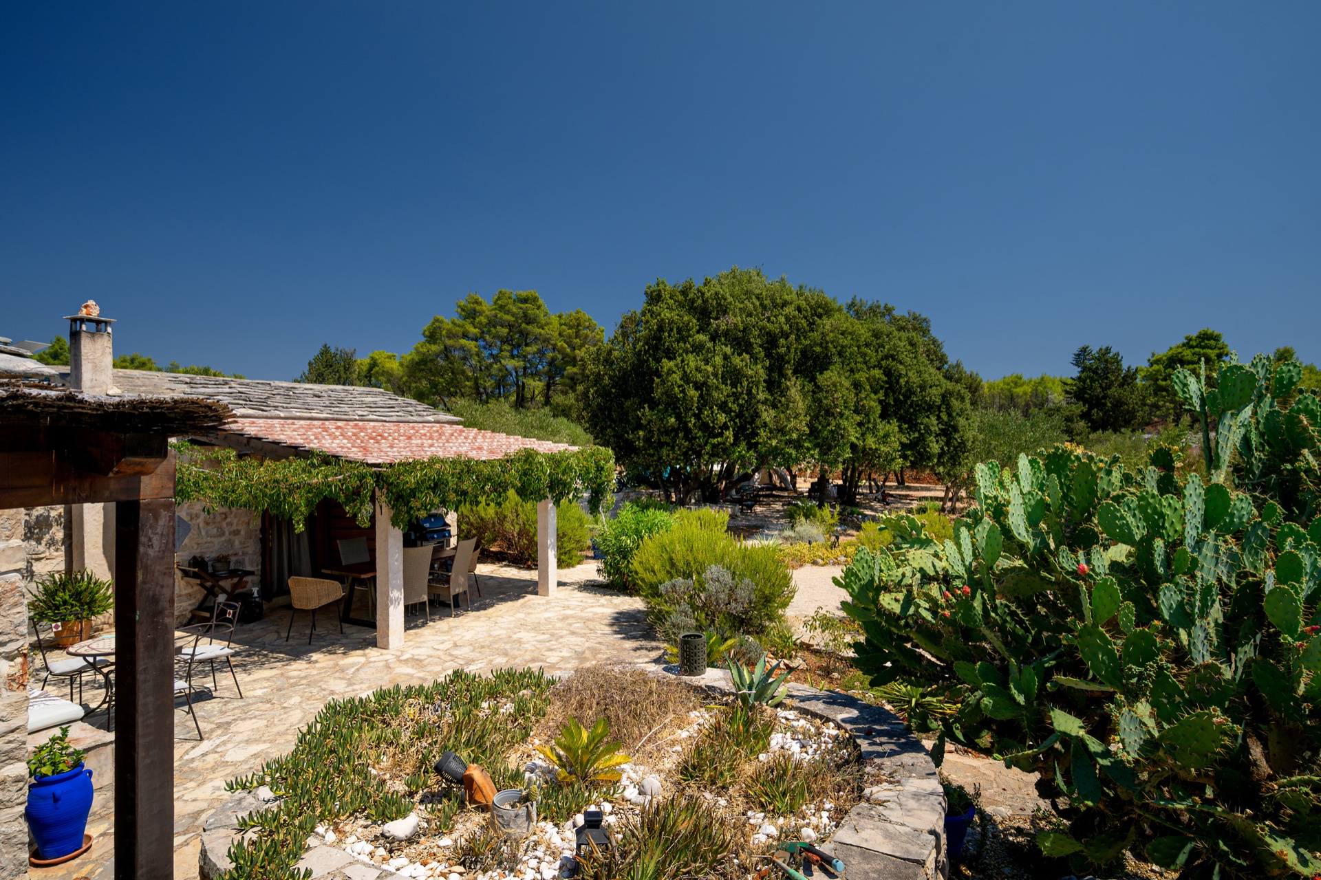 Estate Photo