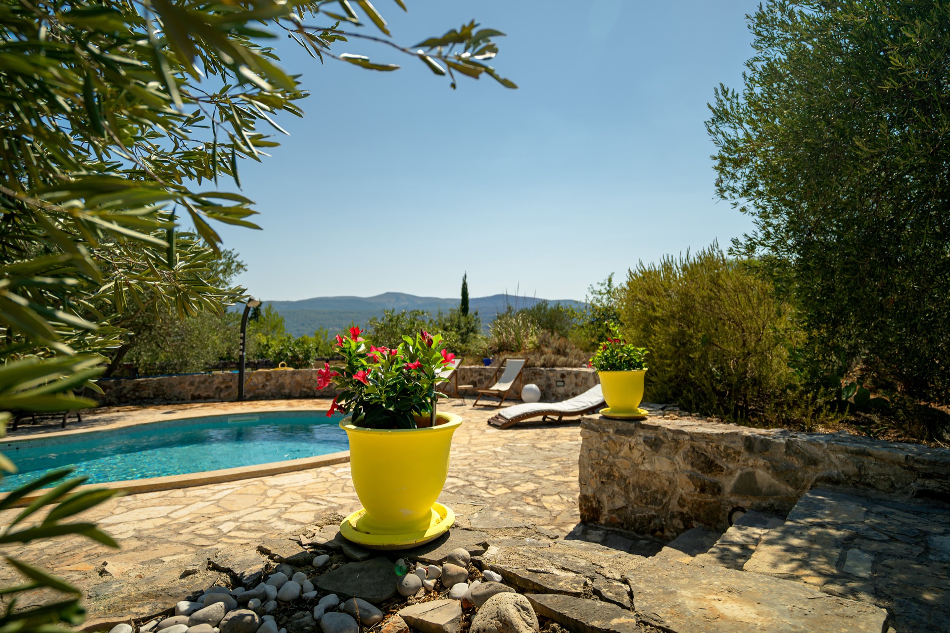 Estate Photo